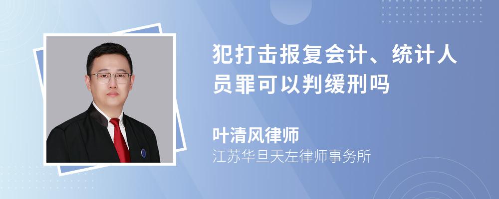 犯打击报复会计、统计人员罪可以判缓刑吗