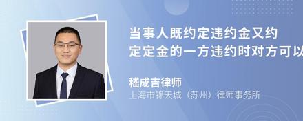 当事人既约定违约金又约定定金的一方违约时对方可以采取的追究违约责任的方式