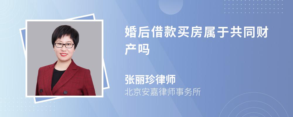 婚后借款买房属于共同财产吗