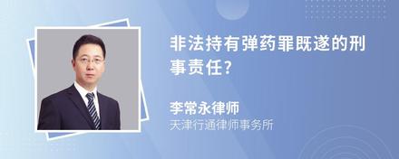 非法持有弹药罪既遂的刑事责任?