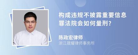 构成违规不披露重要信息罪法院会如何量刑?