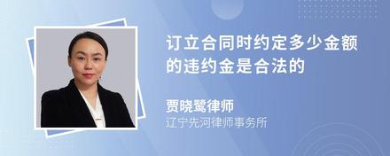 订立合同时约定多少金额的违约金是合法的