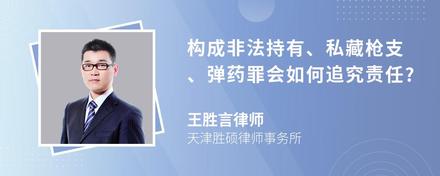 构成非法持有、私藏枪支、弹药罪会如何追究责任?