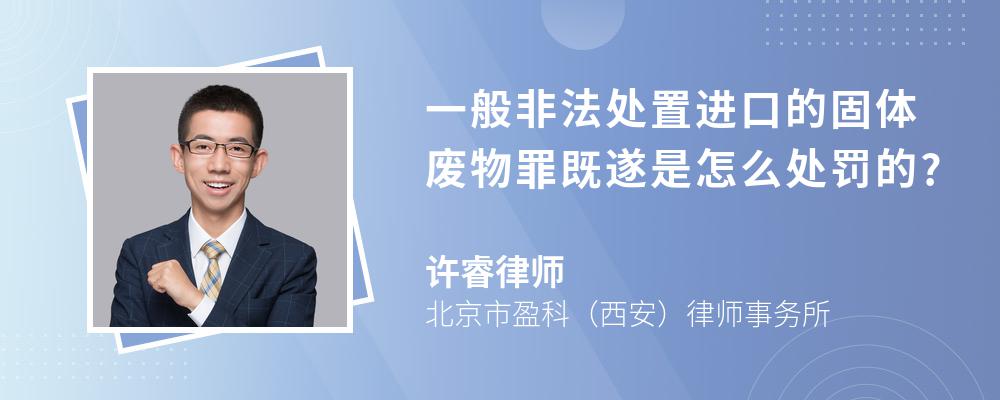 一般非法处置进口的固体废物罪既遂是怎么处罚的?