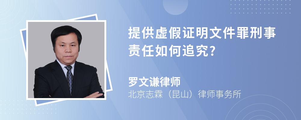 提供虚假证明文件罪刑事责任如何追究?