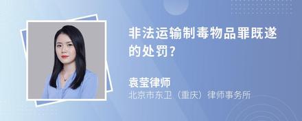 非法运输制毒物品罪既遂的处罚?