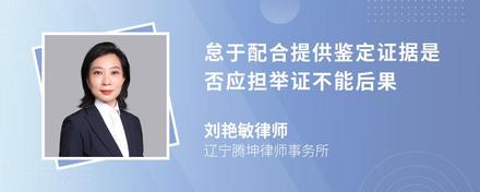 怠于配合提供鉴定证据是否应担举证不能后果