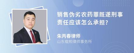 销售伪劣农药罪既遂刑事责任应该怎么承担?