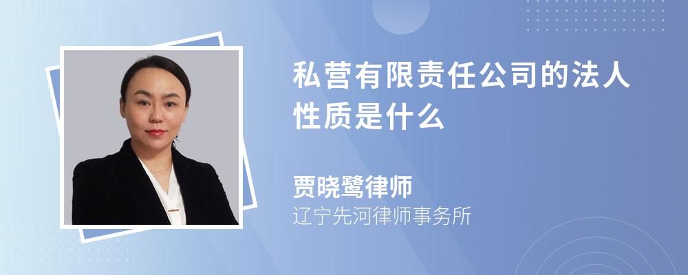 私营有限责任公司的法人性质是什么