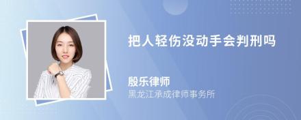 把人轻伤没动手会判刑吗