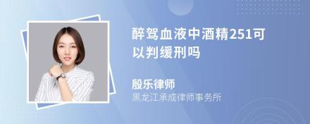 醉驾血液中酒精251可以判缓刑吗