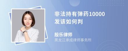 非法持有弹药10000发该如何判