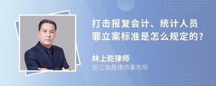 打击报复会计、统计人员罪立案标准是怎么规定的?