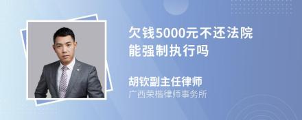 欠钱5000元不还法院能强制执行吗