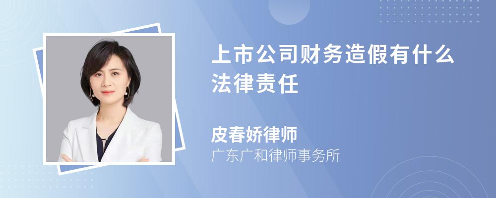 上市公司财务造假有什么法律责任