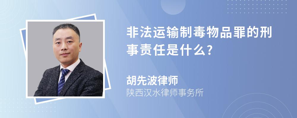 非法运输制毒物品罪的刑事责任是什么?