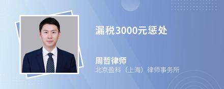 漏税3000元惩处