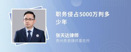 职务侵占5000万判多少年