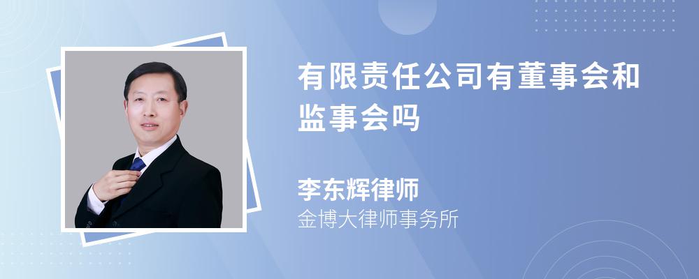 有限责任公司有董事会和监事会吗