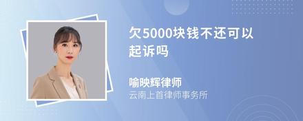 欠5000块钱不还可以起诉吗