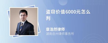 盗窃价值6000元怎么判