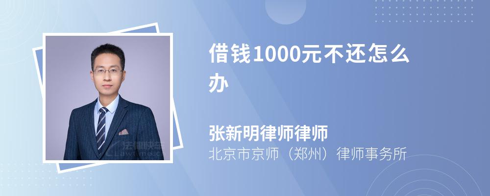 借钱1000元不还怎么办