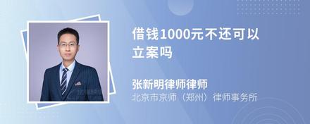 借钱1000元不还可以立案吗