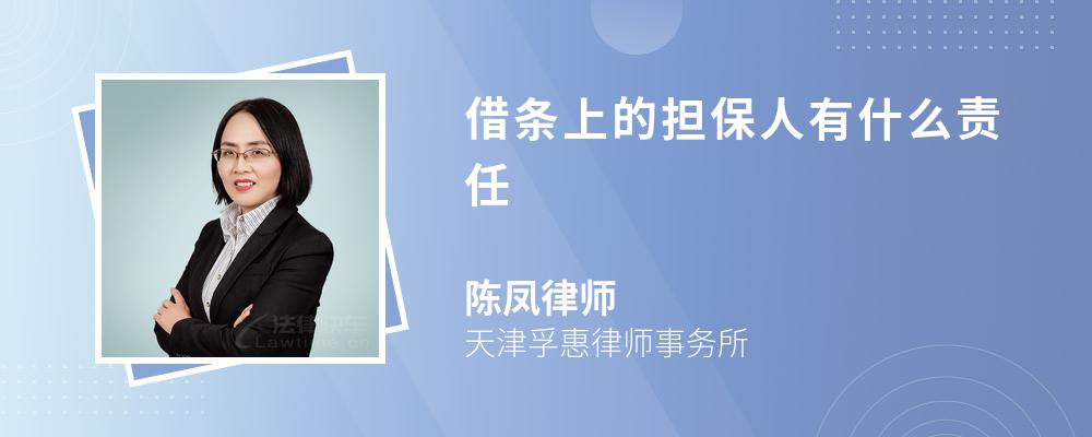 借条上的担保人有什么责任