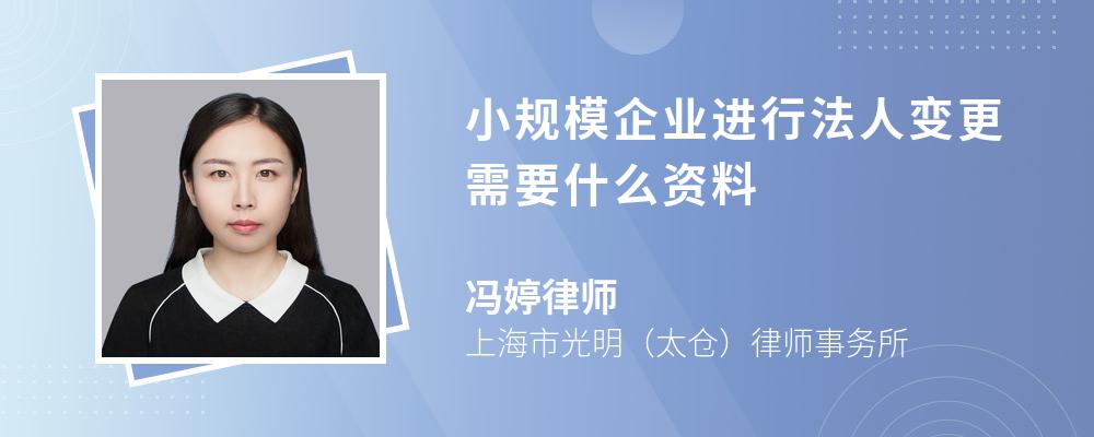 小规模企业进行法人变更需要什么资料