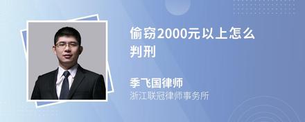 偷窃2000元以上怎么判刑