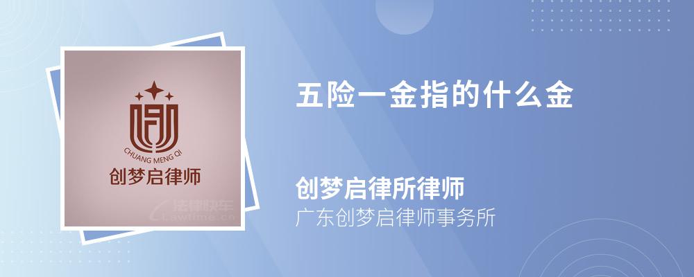 五险一金指的什么金