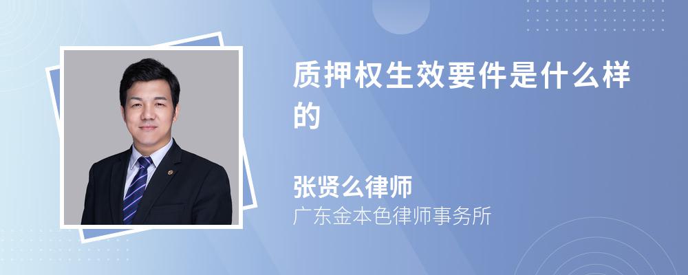 质押权生效要件是什么样的