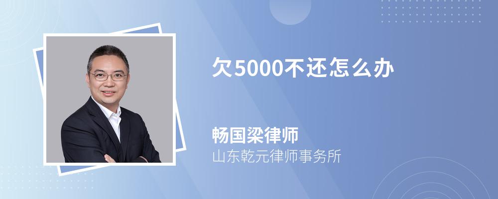 欠5000不还怎么办