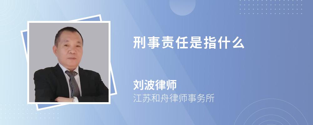 刑事责任是指什么