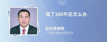 借了300不还怎么办