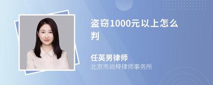 盗窃1000元以上怎么判