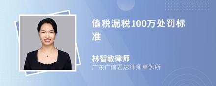 偷税漏税100万处罚标准