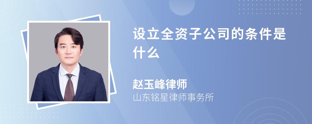 设立全资子公司的条件是什么