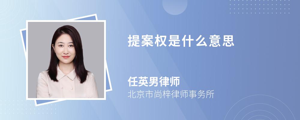 提案权是什么意思