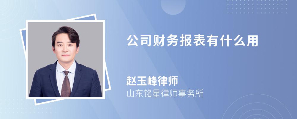 公司财务报表有什么用