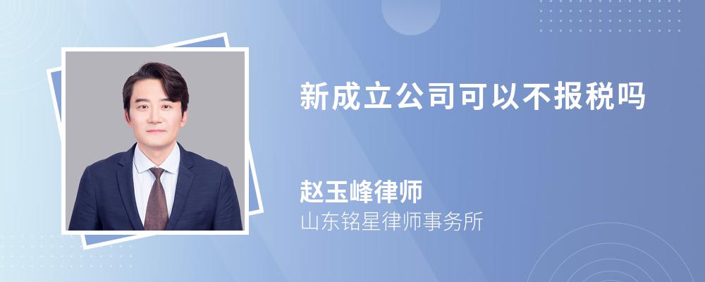 新成立公司可以不报税吗