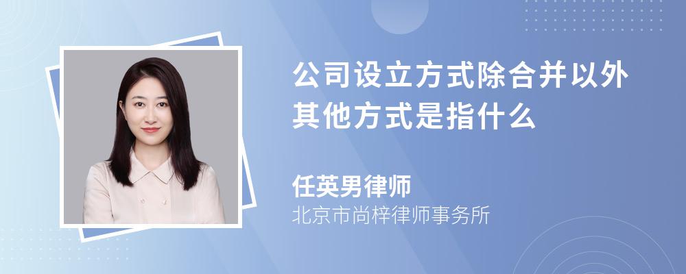 公司设立方式除合并以外其他方式是指什么