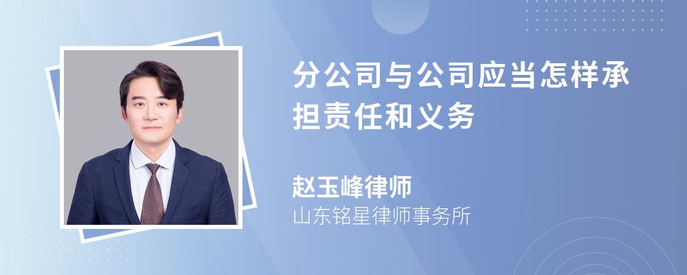 分公司与公司应当怎样承担责任和义务