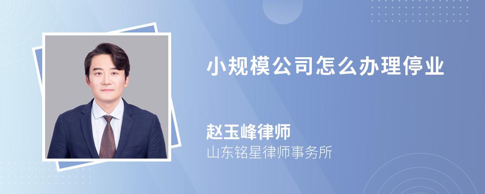 小规模公司怎么办理停业