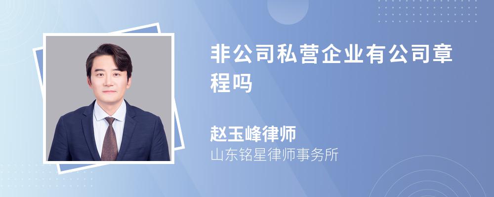 非公司私营企业有公司章程吗