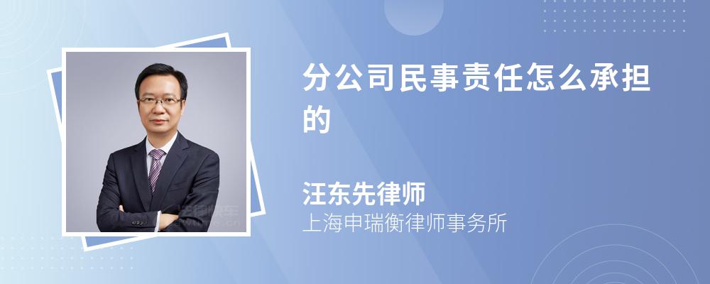 分公司民事责任怎么承担的