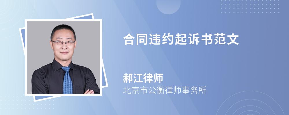 合同违约起诉书范文