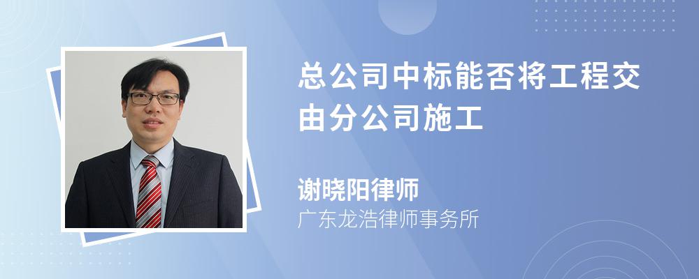 总公司中标能否将工程交由分公司施工