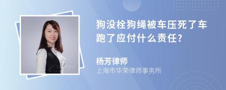 狗没栓狗绳被车压死了车跑了应付什么责任?