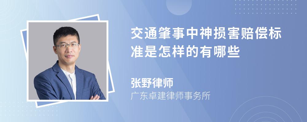 交通肇事中神损害赔偿标准是怎样的有哪些